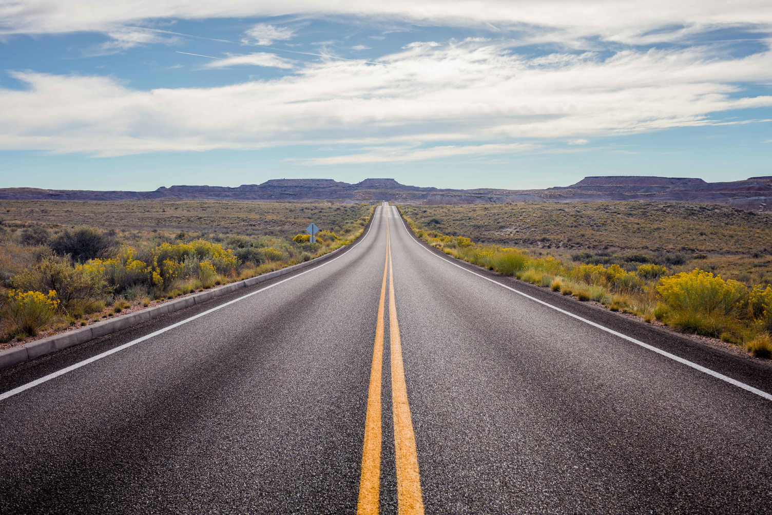Taking Route 66 through the Petrified Forest National Park in northeastern Arizona