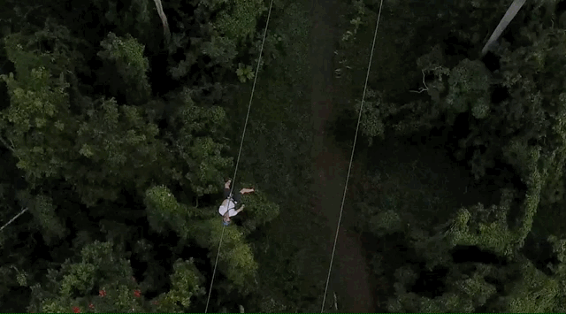 Zipline Park in Puerto Rico Zipline Park in Puerto Rico
