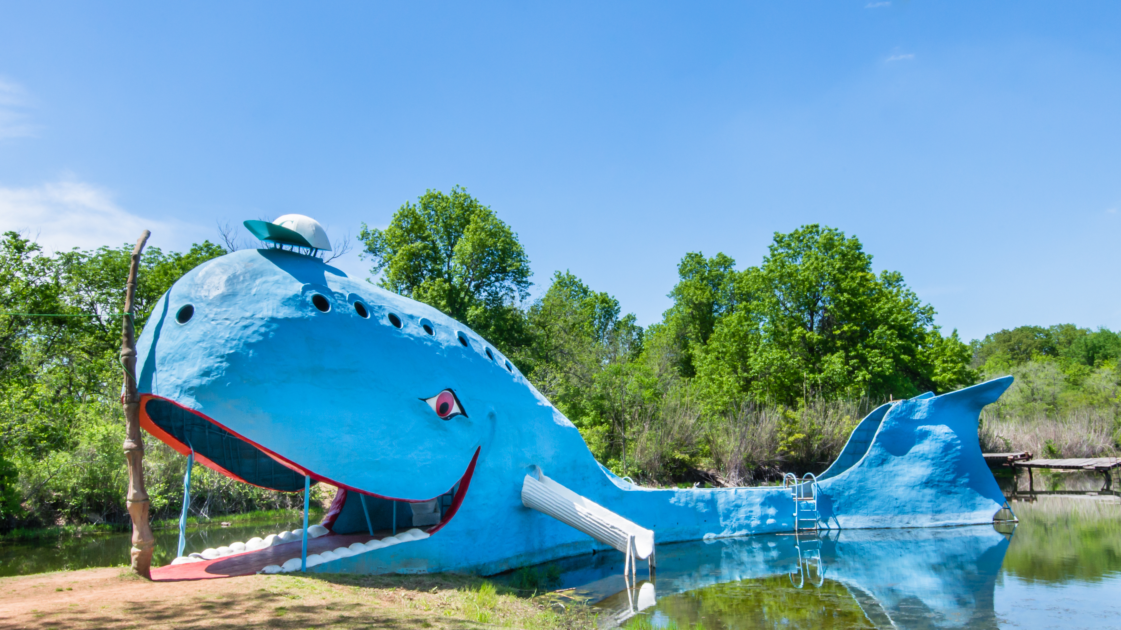 Blue Whale