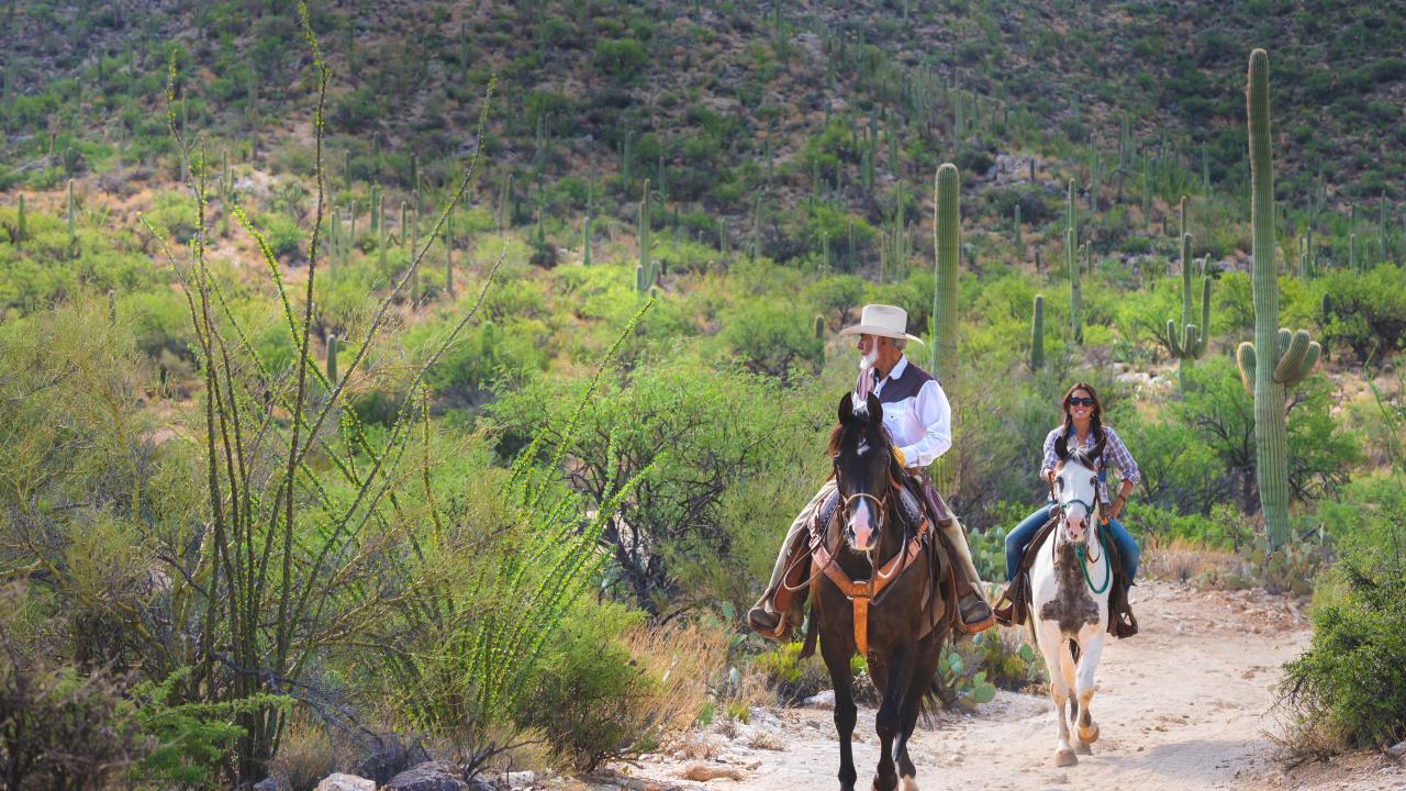 Arizona locals at Tanque Verde Ranch in Tucson Arizona locals at Tanque Verde Ranch in Tucson