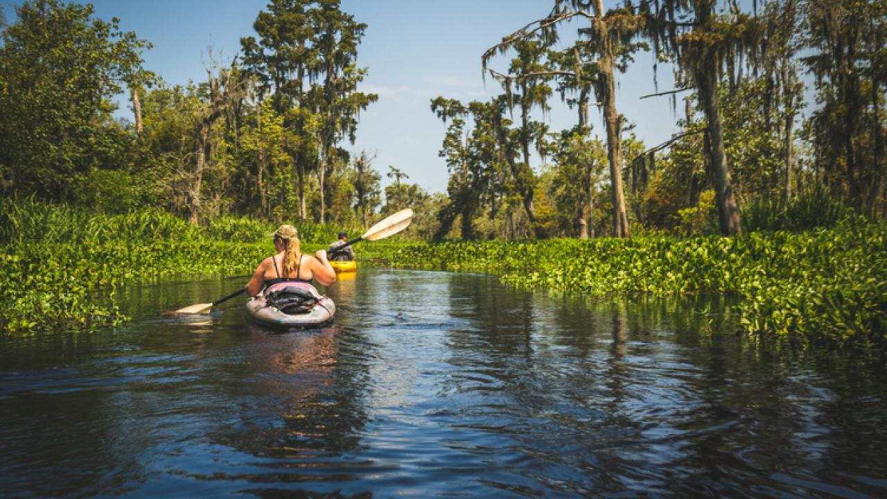 On a kayaking tour near New Orleans, Louisiana