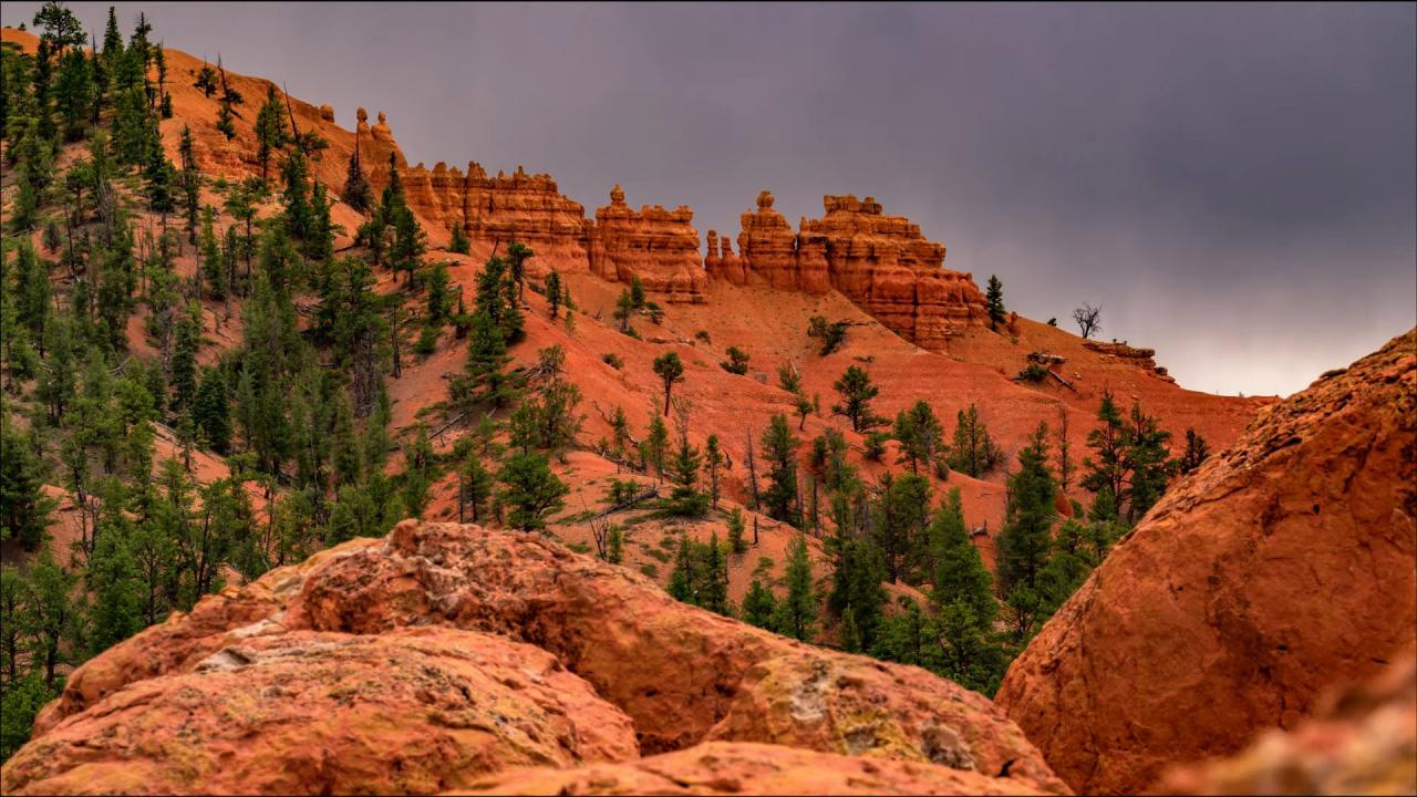 More Than Just Forests: Dixie National Forest video screenshot More Than Just Forests: Dixie National Forest video screenshot