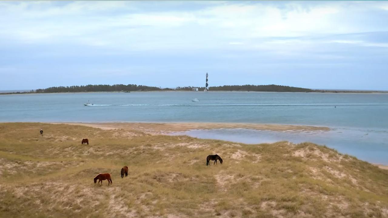 Captura de video que muestra caballos salvajes y un faro en la costa de Carolina del Norte Captura de video que muestra caballos salvajes y un faro en la costa de Carolina del Norte