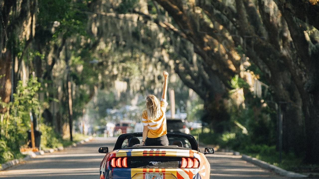 Driving down a canopy road on the Eastern coast of Florida