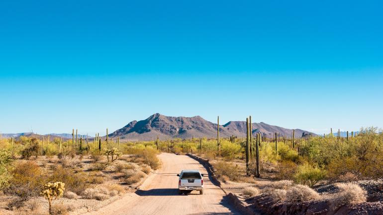 Pintoresco viaje entre los cactus saguaro en el Sonoran Desert en Arizona Pintoresco viaje entre los cactus saguaro en el Sonoran Desert en Arizona