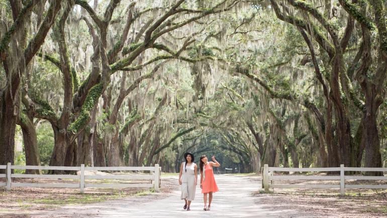 Promenade sur le sentier bordé de chênes du Wormsloe State Historic Site à Savannah, en Géorgie Promenade sur le sentier bordé de chênes du Wormsloe State Historic Site à Savannah, en Géorgie