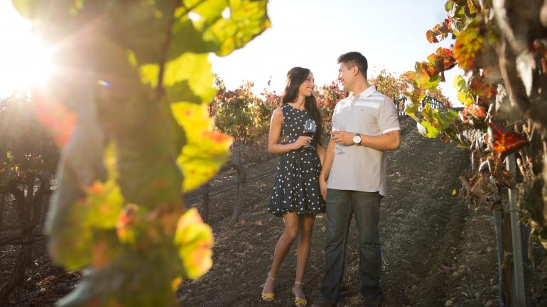 Try a wine tasting or take a romantic stroll through the vineyards in Edna Valley. Try a wine tasting or take a romantic stroll through the vineyards in Edna Valley.
