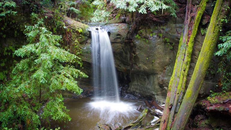 The oldest state park in California, Big Basin Redwoods State Park affords numerous scenic hiking opportunities. The oldest state park in California, Big Basin Redwoods State Park affords numerous scenic hiking opportunities.