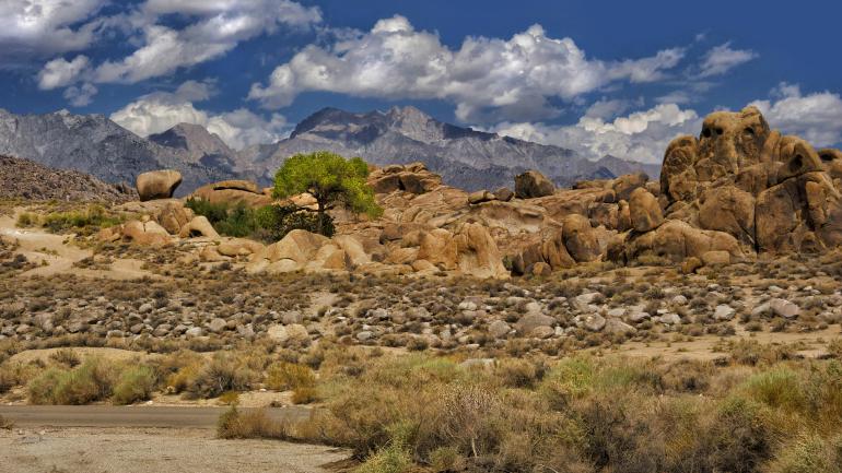 Lone Pine (Alabama Hills), California Lone Pine (Alabama Hills), California