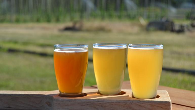 Enjoy Agrarian Ales’ craft brews from their century-old dairy barn that offers lush views of the brewery’s hop farm. Enjoy Agrarian Ales’ craft brews from their century-old dairy barn that offers lush views of the brewery’s hop farm.