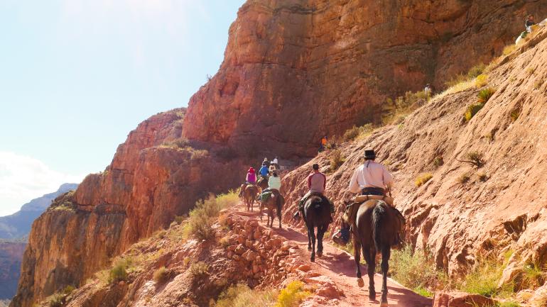 Grand Canyon Grand Canyon