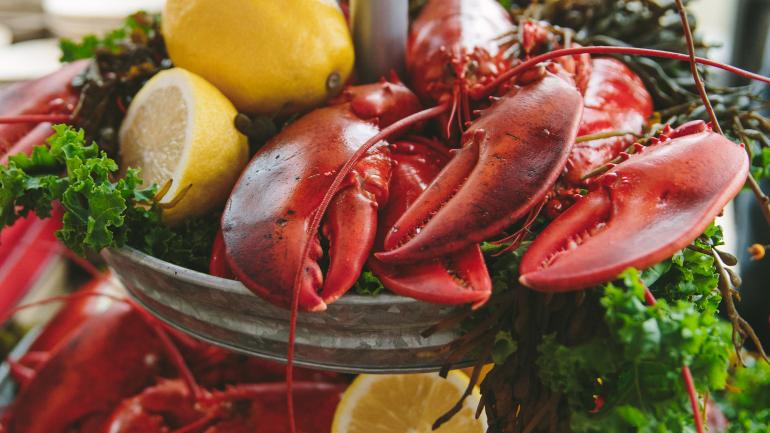 “Lobster” and “Maine” are almost synonymous. Growing, harvesting, cooking and enjoying the sweet and delicious cold-water crustacean runs deep in the heritage of the state. “Lobster” and “Maine” are almost synonymous. Growing, harvesting, cooking and enjoying the sweet and delicious cold-water crustacean runs deep in the heritage of the state.