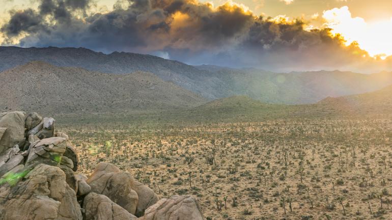 Joshua Tree, California Joshua Tree, California