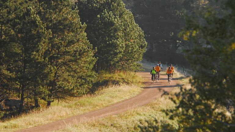You never know what stunning landscape you’ll see next when rounding a curve on the Mickelson Trail. You never know what stunning landscape you’ll see next when rounding a curve on the Mickelson Trail.