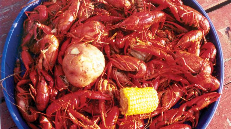 Southwest Louisiana’s coast and wetlands yield fresh, flavorful seafood such as crawfish. Taste the crustaceans along the region’s Seafood Sensation Trail. Southwest Louisiana’s coast and wetlands yield fresh, flavorful seafood such as crawfish. Taste the crustaceans along the region’s Seafood Sensation Trail.