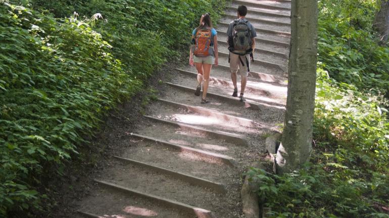 The Traverse Area Recreation & Transportation (TART) trail connects hikers and cyclists to recreational trails around the city. The Traverse Area Recreation & Transportation (TART) trail connects hikers and cyclists to recreational trails around the city.