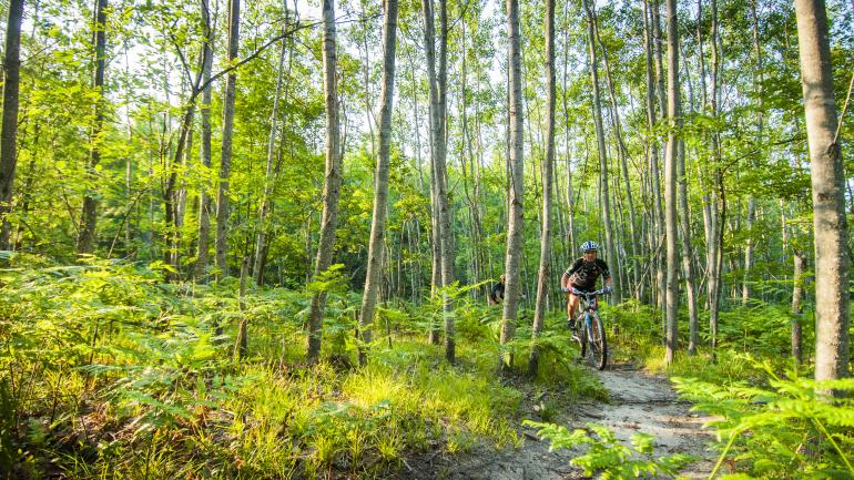 Trails in and around Traverse City reward hikers, bikers and skiers with diverse terrain and beautiful scenery. Trails in and around Traverse City reward hikers, bikers and skiers with diverse terrain and beautiful scenery.