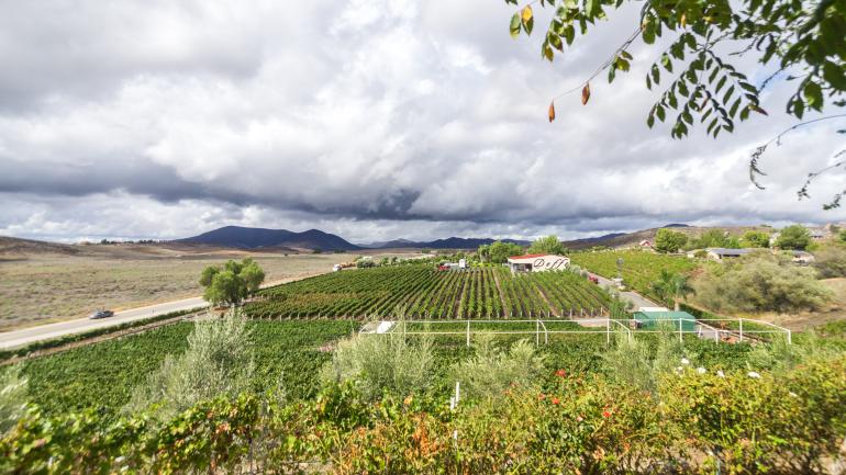 Temecula California Wine Tours Temecula California Wine Tours