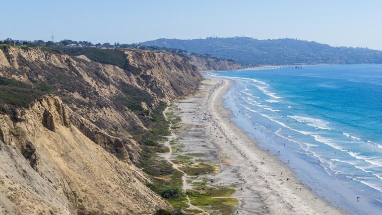 Torrey Pines in San Diego, California Torrey Pines in San Diego, California