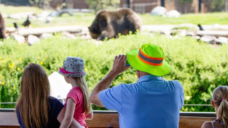 Grizzly & Wolf Discovery Center Grizzly & Wolf Discovery Center