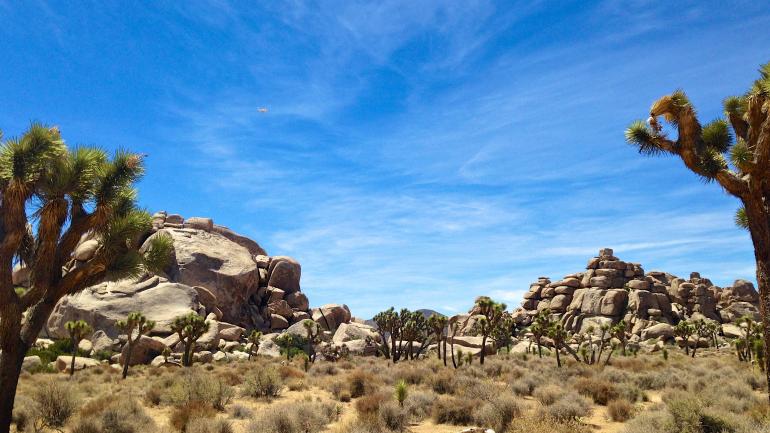 Joshua Tree National Park has been the backdrop for movies, album shoots and countless spectacular sunsets Joshua Tree National Park has been the backdrop for movies, album shoots and countless spectacular sunsets