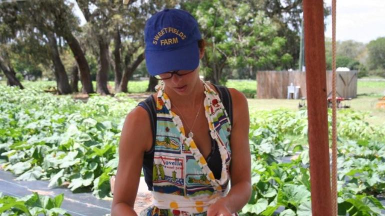Local farmers invite culinary adventurers for festivals and do-it-yourself fruit picking. Local farmers invite culinary adventurers for festivals and do-it-yourself fruit picking.