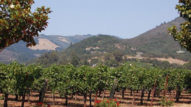 Après un court trajet au nord de San Francisco, retrouvez les magnifiques vignes ondoyantes de la vallée de Sonoma. Après un court trajet au nord de San Francisco, retrouvez les magnifiques vignes ondoyantes de la vallée de Sonoma.