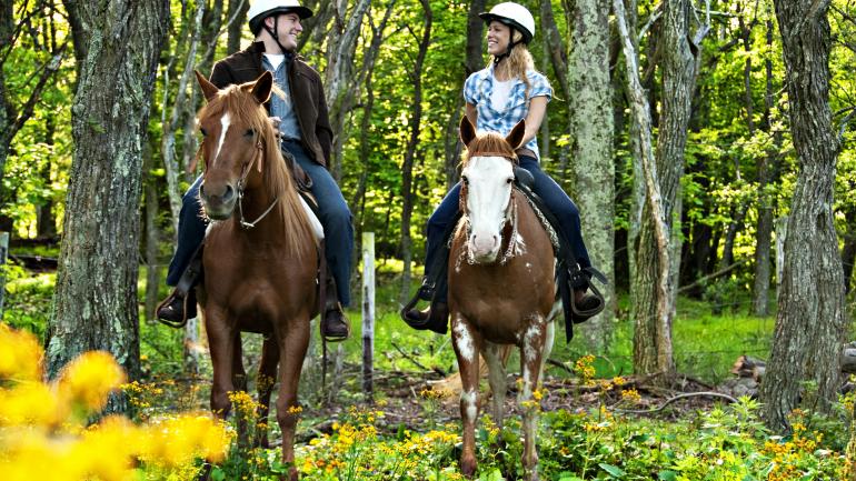 Explore the USA's Capital Region by horseback – where rides are complemented with incredible views of the countryside. Explore the USA's Capital Region by horseback – where rides are complemented with incredible views of the countryside.