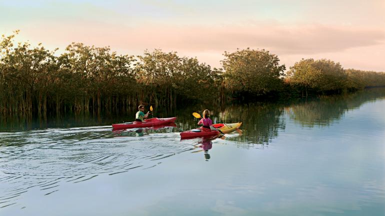 Rent a canoe or kayak to immerse yourself in the “river of grass” – the Florida Everglades. Rent a canoe or kayak to immerse yourself in the “river of grass” – the Florida Everglades.