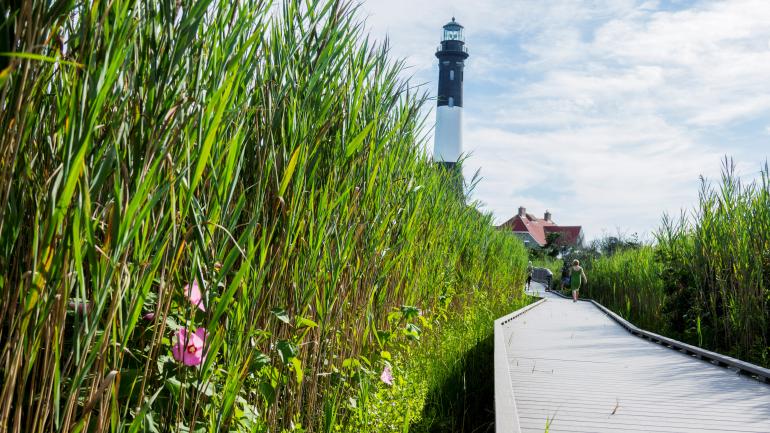Boardwalk leading to Fire Island Lighthouse, New York Boardwalk leading to Fire Island Lighthouse, New York
