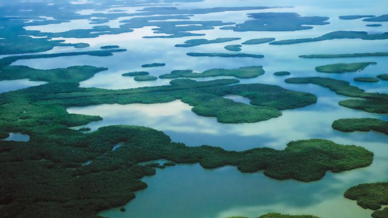 The Ten Thousand Islands, a network of islands and mangrove islets, is a nearly untouched ecosystem located off the coast of Southwest Florida. The Ten Thousand Islands, a network of islands and mangrove islets, is a nearly untouched ecosystem located off the coast of Southwest Florida.