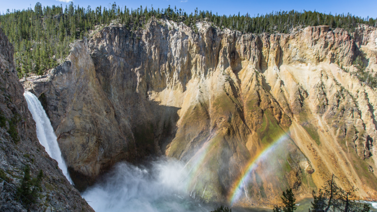 The impressive Grand Canyon of the Yellowstone was carved by the Yellowstone River. Traveling more than 950 kilometers, the Yellowstone River is the longest undammed river in the continental United States. The impressive Grand Canyon of the Yellowstone was carved by the Yellowstone River. Traveling more than 950 kilometers, the Yellowstone River is the longest undammed river in the continental United States.