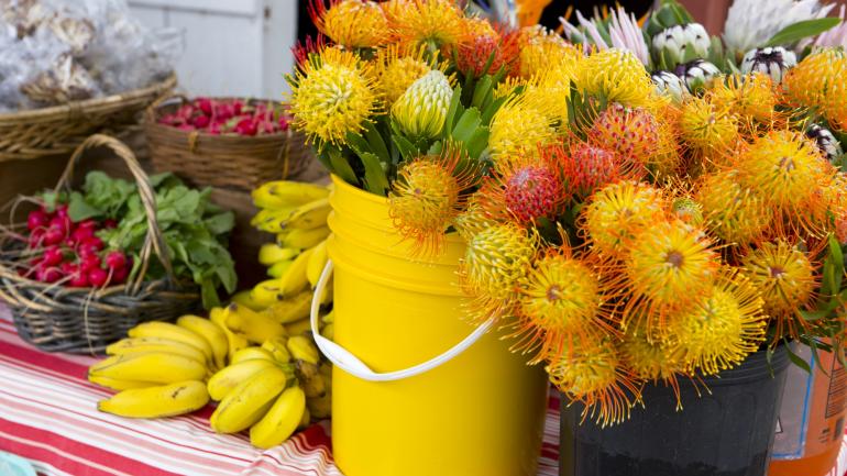 Auf den Farmers Markets von Hawaii gibt es Schnittblumen, frische Produkte und zubereitete Speisen in Hülle und Fülle. Auf den Farmers Markets von Hawaii gibt es Schnittblumen, frische Produkte und zubereitete Speisen in Hülle und Fülle.