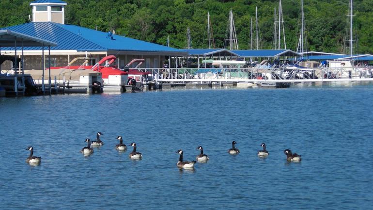 Lake Tuscaloosa is a popular vacation destination year-round. Lake Tuscaloosa is a popular vacation destination year-round.