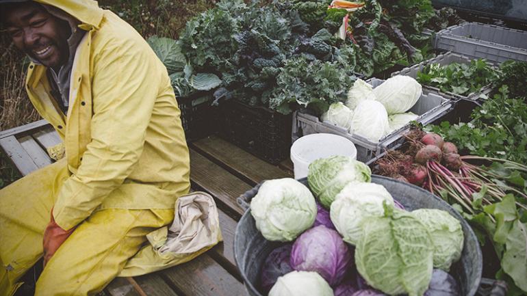 It's hard not to be part of the farm-to-table movement in a place like Maine, where fresh produce can be found across the entire state. It's hard not to be part of the farm-to-table movement in a place like Maine, where fresh produce can be found across the entire state.