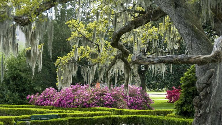 Gorgeous gardens on the grounds of the new state capitol building in Baton Rouge, Louisiana Gorgeous gardens on the grounds of the new state capitol building in Baton Rouge, Louisiana