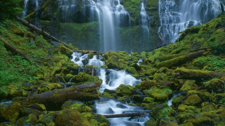 Just an hour from most Eugene breweries, you’ll discover hidden waterfalls and epic mountain bike trails. Just an hour from most Eugene breweries, you’ll discover hidden waterfalls and epic mountain bike trails.