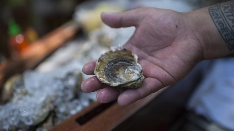 Oysters are delicacies in Massachusetts, and many restaurants feature them on the half-shell. Oysters are delicacies in Massachusetts, and many restaurants feature them on the half-shell.