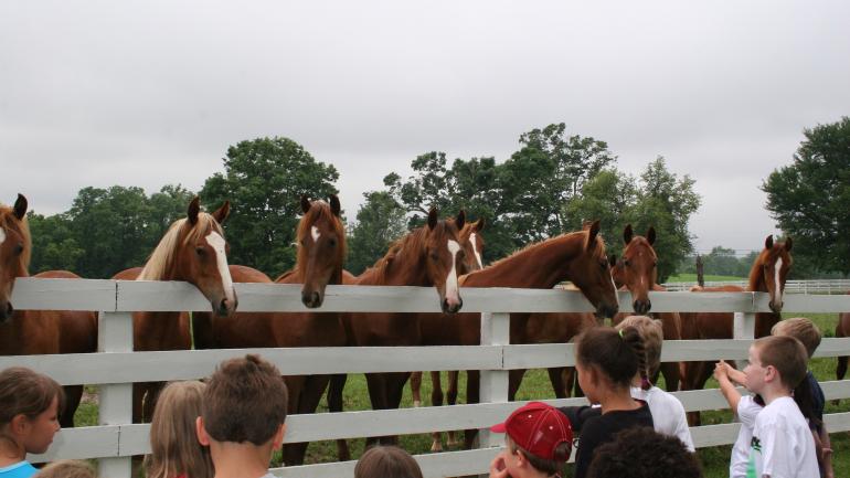 Kids interact with horses on a farm in Shelbyville, Tennessee Kids interact with horses on a farm in Shelbyville, Tennessee