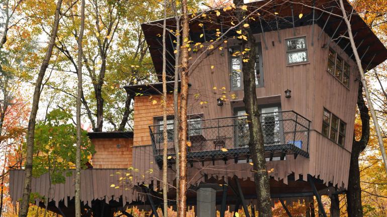 In Connecticut, the Treehouse at Winvian Farm offers lovely views of fall foliage. In Connecticut, the Treehouse at Winvian Farm offers lovely views of fall foliage.