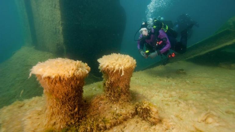 The 145-meter Nordmeer has rested beneath the surface of Thunder Bay National Marine Sanctuary since 1966. The 145-meter Nordmeer has rested beneath the surface of Thunder Bay National Marine Sanctuary since 1966.