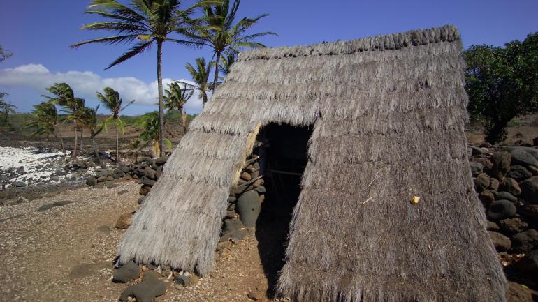 Traditional thatched house in Lapakahi State Historical Park Traditional thatched house in Lapakahi State Historical Park
