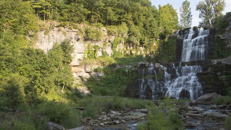 Chittenango Falls State Park is known for its namesake waterfalls, as well as its wildlife. Chittenango Falls State Park is known for its namesake waterfalls, as well as its wildlife.