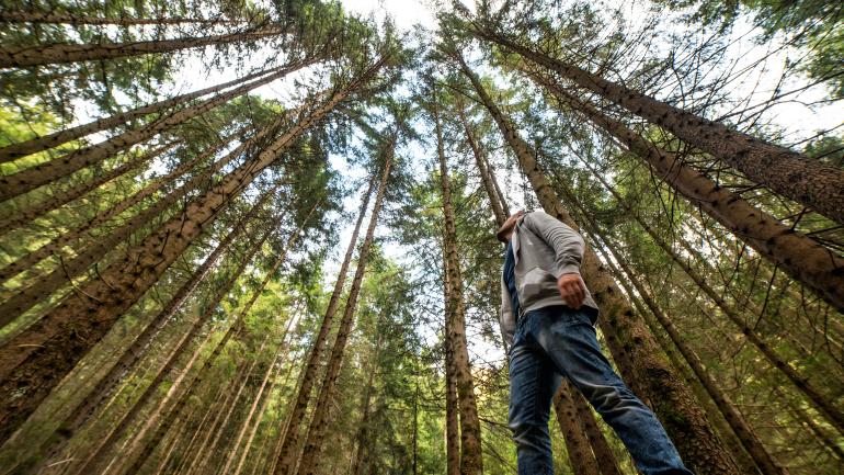 Muir Woods is popular and for a good reason - the redwood forest here is truly stunning. Muir Woods is popular and for a good reason - the redwood forest here is truly stunning.