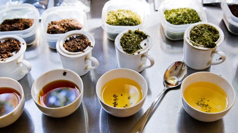 Varieties of teas can be sampled at the Charleston Tea Plantation, the United States’ sole tea plantation, on Wadmalaw Island south of Charleston. Varieties of teas can be sampled at the Charleston Tea Plantation, the United States’ sole tea plantation, on Wadmalaw Island south of Charleston.