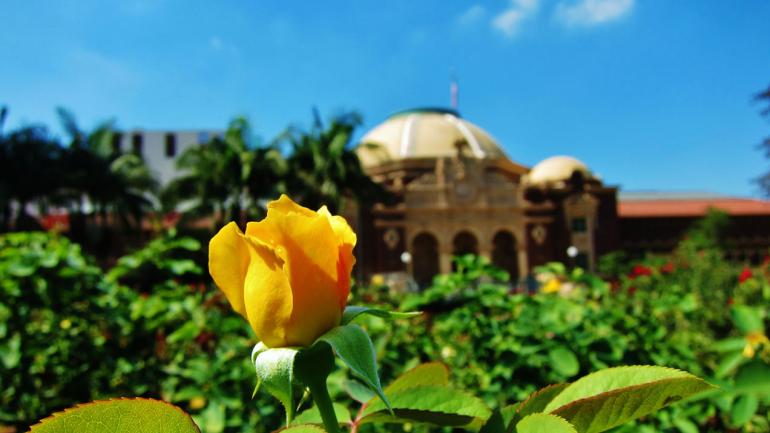 When you need a break from visiting museums, spread out a blanket and enjoy the warm weather and beautiful roses in Exposition Park. When you need a break from visiting museums, spread out a blanket and enjoy the warm weather and beautiful roses in Exposition Park.