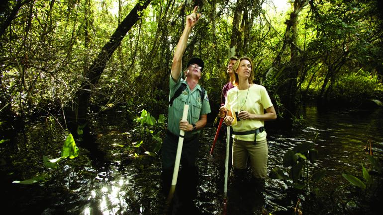 Venture into the heart of the fabled Fakahatchee Strand Preserve on a guided swamp walk. Venture into the heart of the fabled Fakahatchee Strand Preserve on a guided swamp walk.