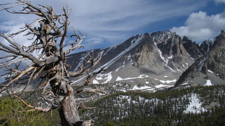 Scenic views at Great Basin National Park Scenic views at Great Basin National Park