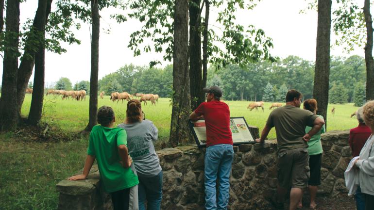 Elk viewing at Elk Country Visitor Center Elk viewing at Elk Country Visitor Center