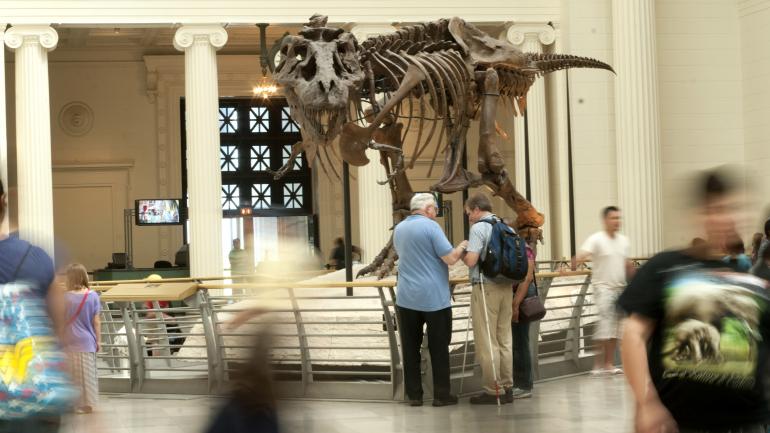Visiting SUE at The Field Museum in Chicago, Illinois Visiting SUE at The Field Museum in Chicago, Illinois